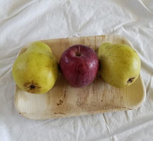 Load image into Gallery viewer, SDPMart Premium Leaf Plates - 10" Square Plates - 25 Nos