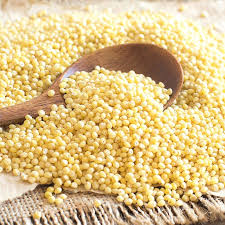 SDPMart Premium Kodo (Varagu/Kodra) Millet   1.5 Lbs